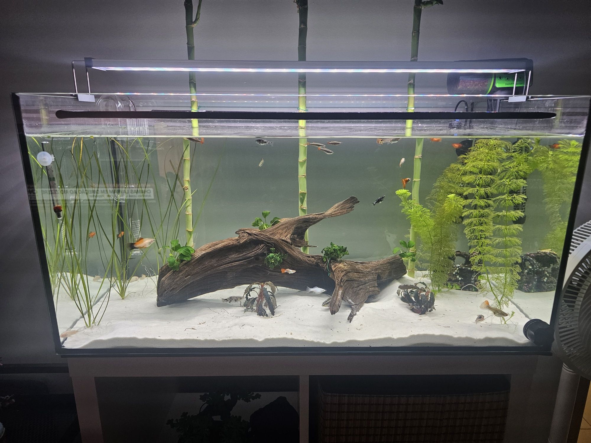 Vendo aquario Filtro e Luminaria Led