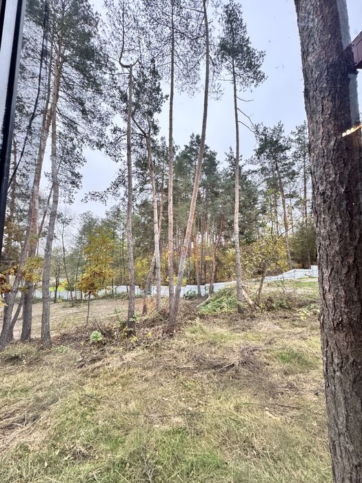 Терміновий продаж Модульного Будинку у сосновому лісі с.Ходосівка!