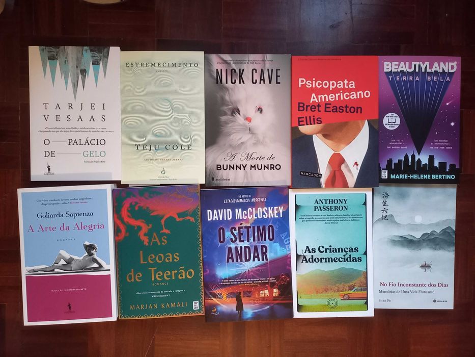 Lote de 80 livros (ficção)