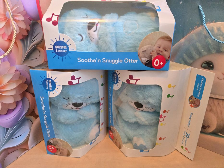 Дихаюче видреня, мішка в голубому кольорів, в подарунковій коробці