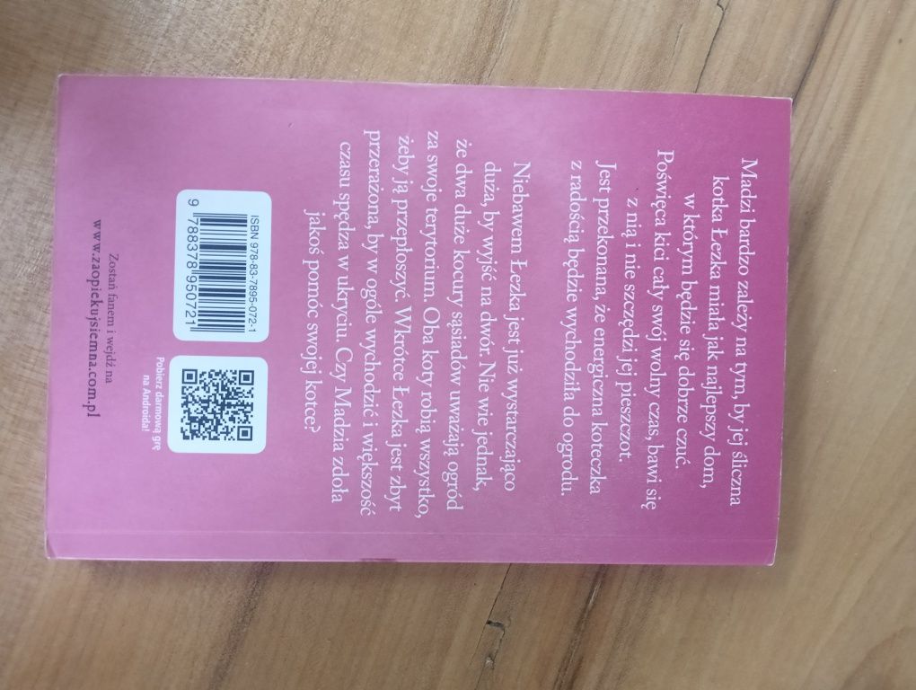 Łezka przerażona kotka Holly Webb