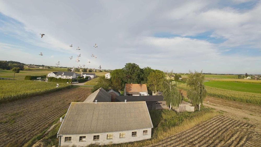 Siedlisko z zabudowaniami