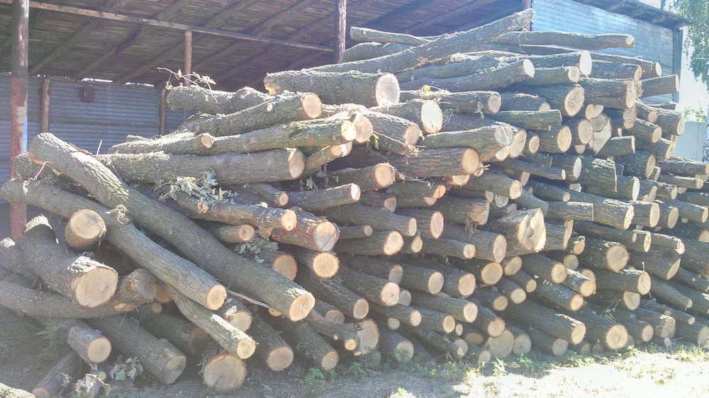 Продам дрова , акація