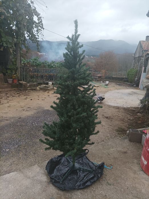 Árvore de natal 1,70m