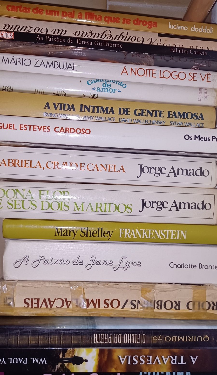 Livros/Eça Queiroz/culinária/José Rodrigues dos Santos/florbela