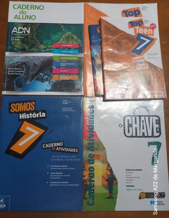 Livros de fichas do 7°ano