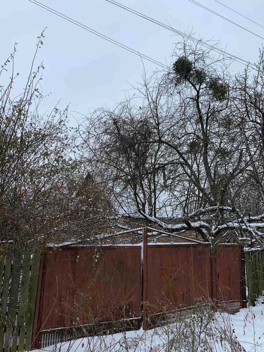 Продаж будинку в Жуках