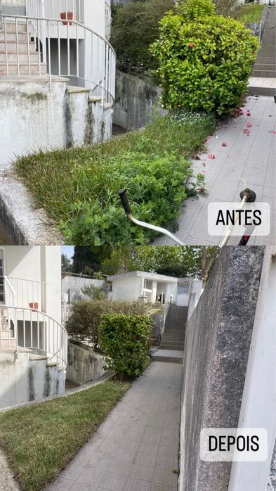 Limpeza de terrenos e manutenção de jardins