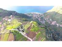 Terreno com 1628 m2 na Ponta do Sol | Madeira