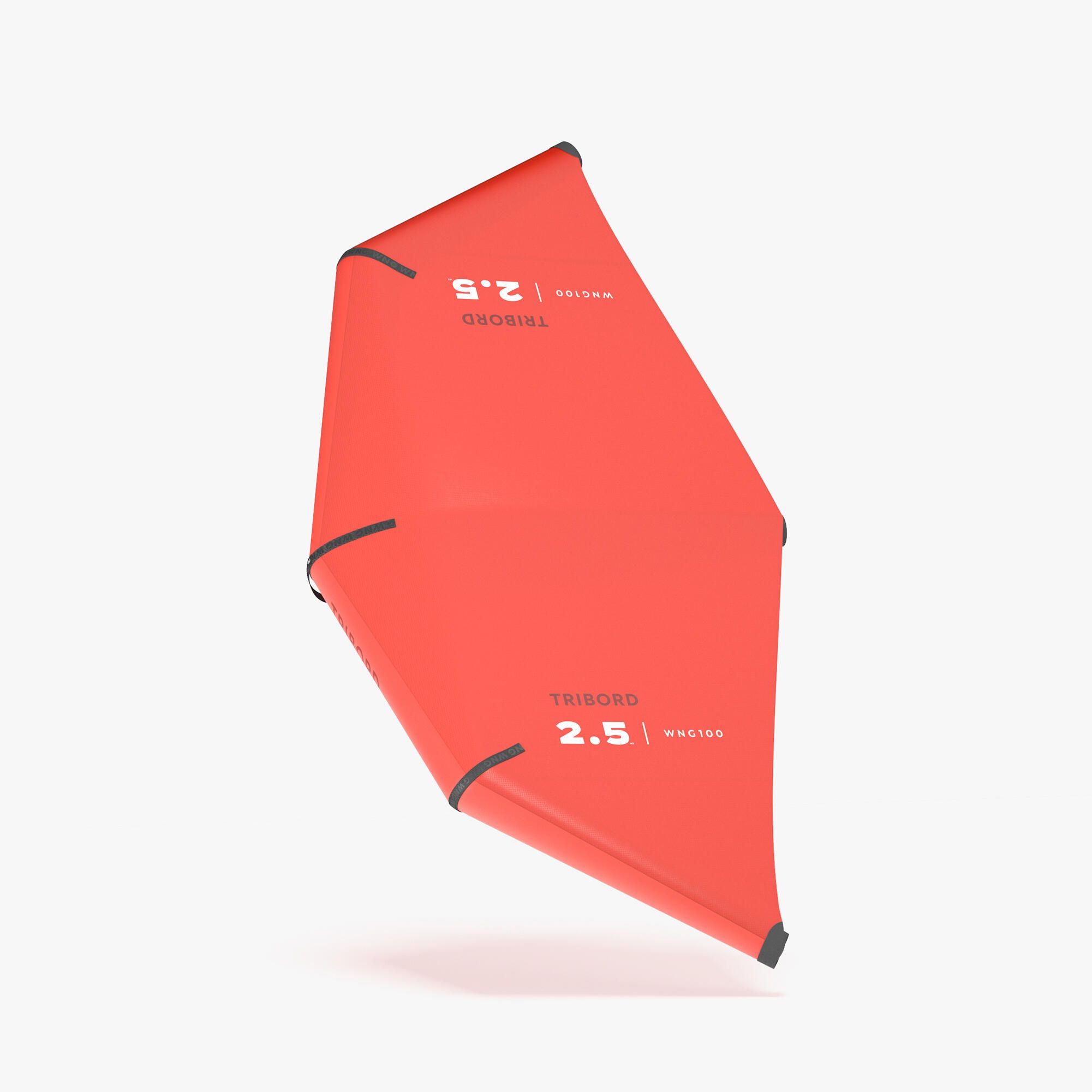 Asa de Wing 2.5 m² - WNG 100