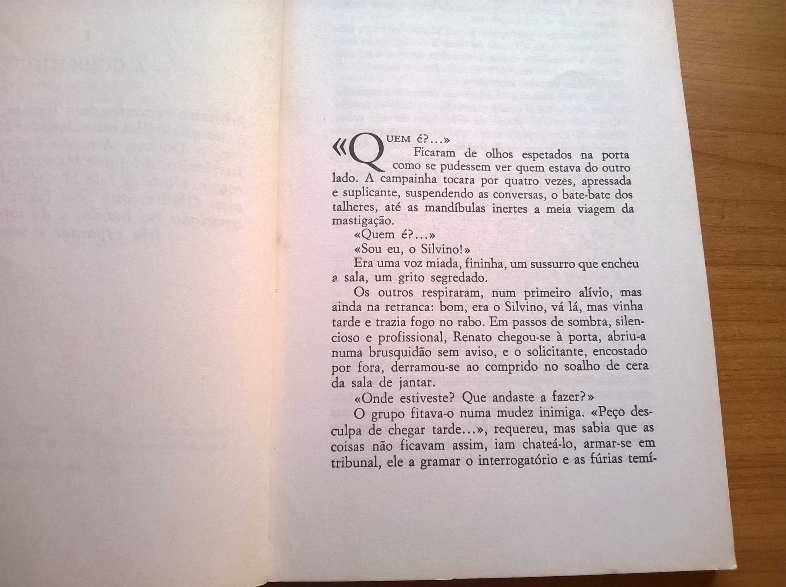 Crónica dos Bons Malandros - Mário Zambujal (portes grátis)
