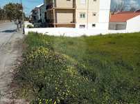 Terreno  para venda