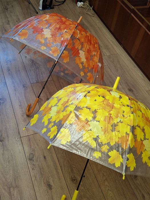 Прозора парасолька з куполом грибком і кленовим листям