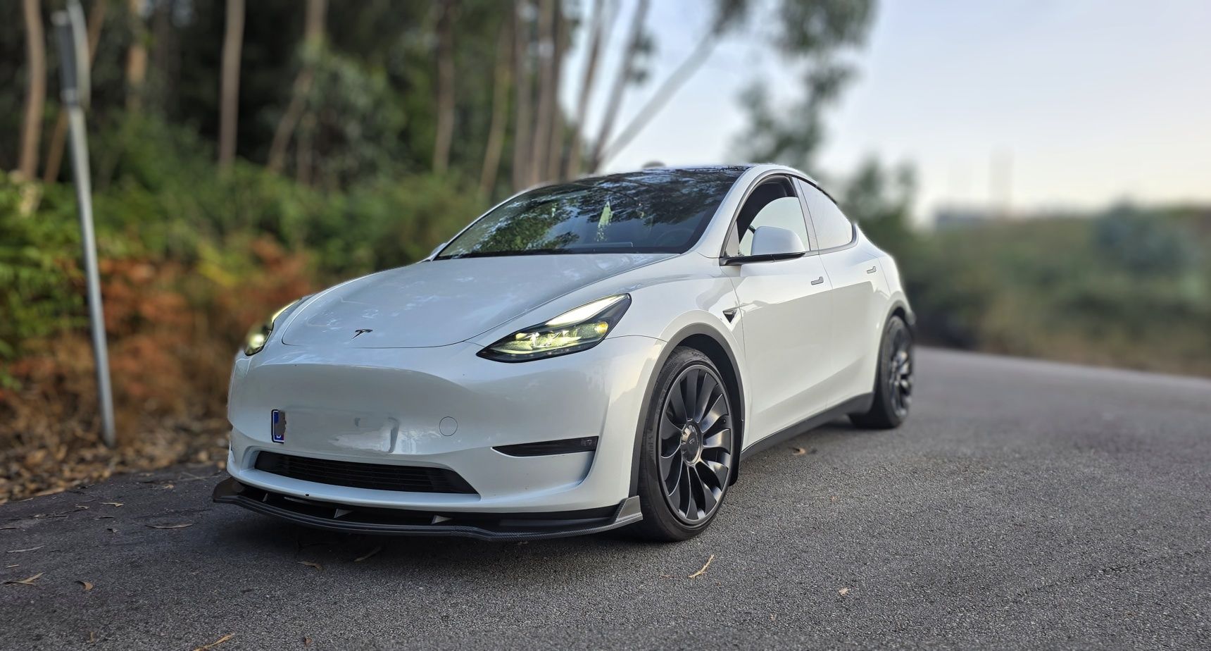 TESLA Model Y Long Range Performance  534cvs AWD