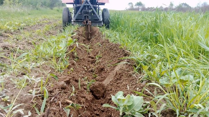 Міні трактор компактний