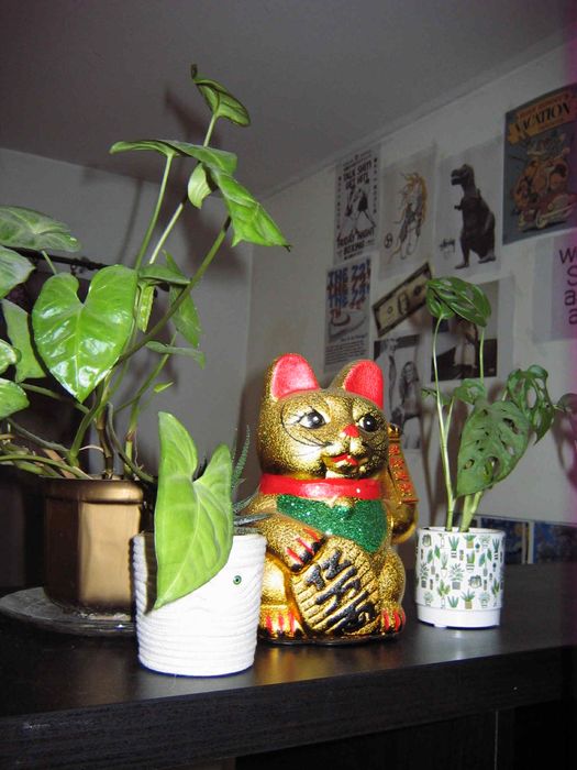 Canon Digital IXUS II S + karta pamięci!Tanie 2000sVibe!Aparat cyfrowy