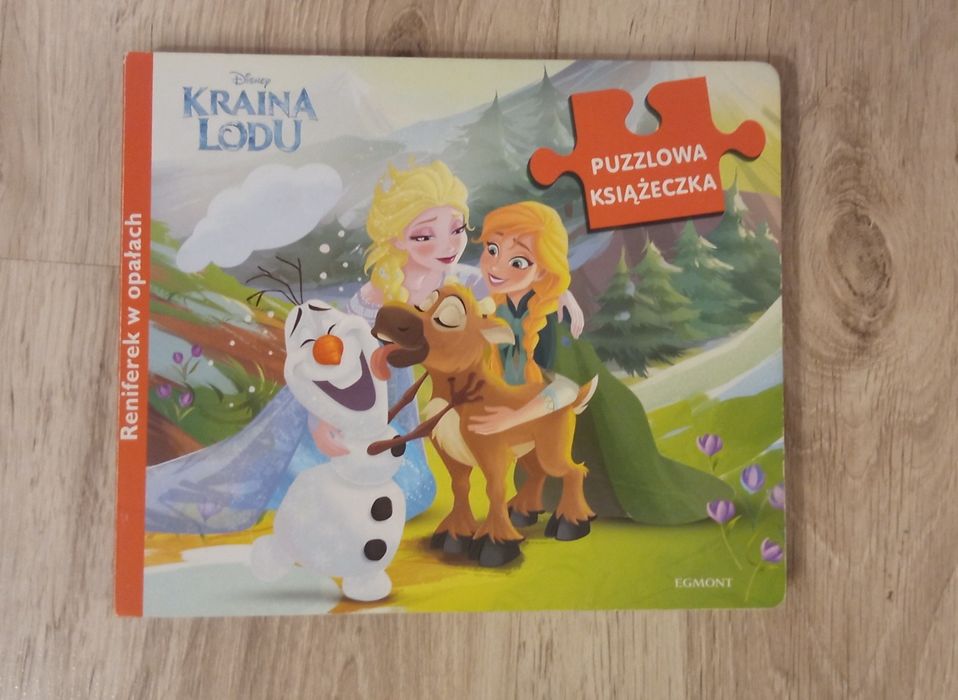 Zestaw dla fana Krainy Lodu