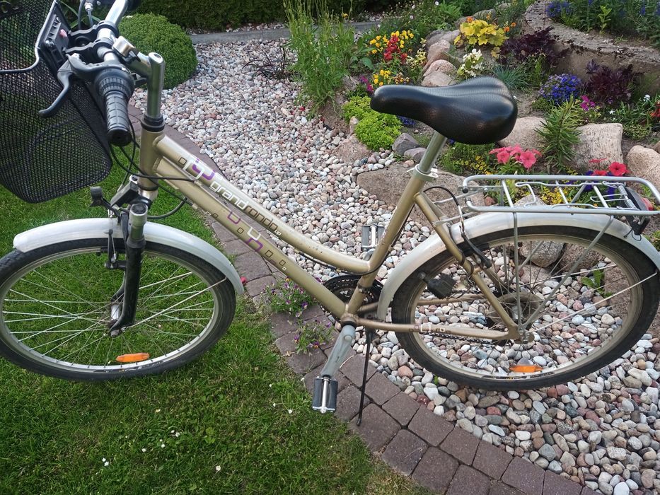 Rower damski                  .