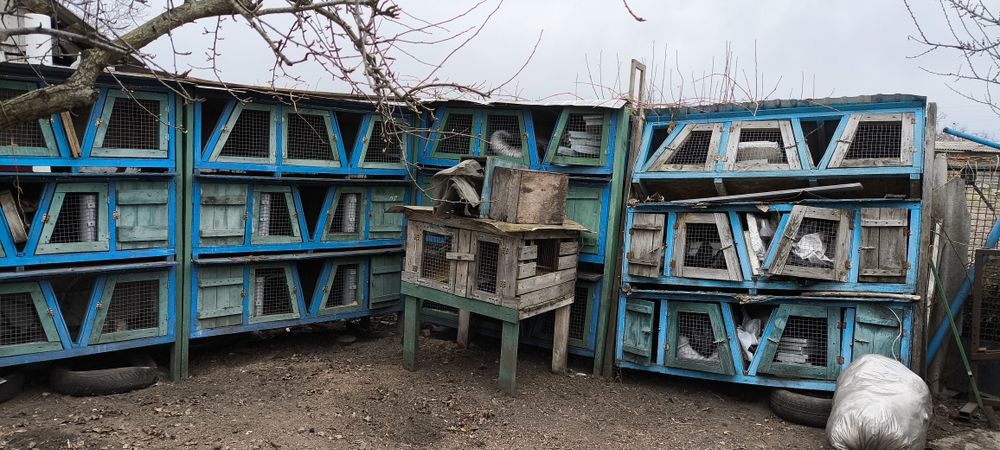 Продам клітки для кролів