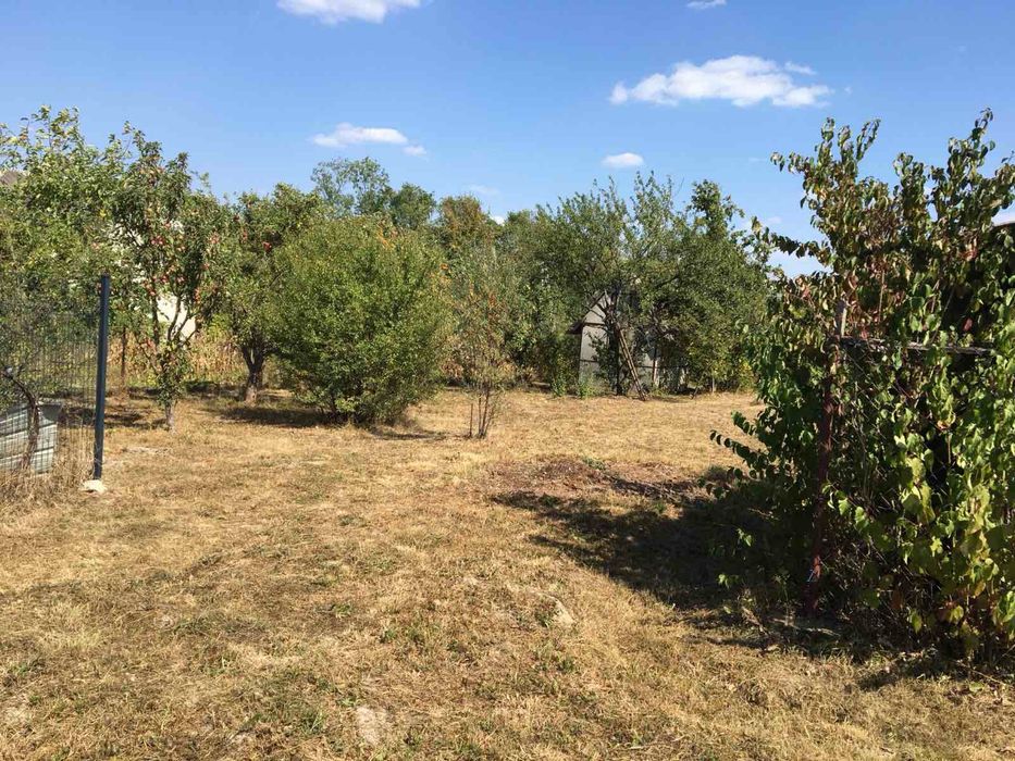 Дача біля лісу у мальовничому селі Павлівка