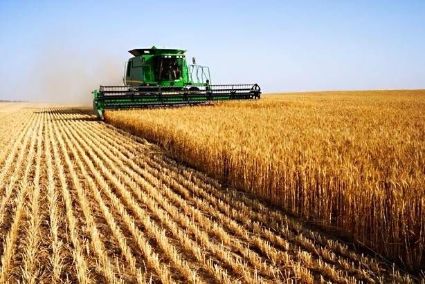 Продам Земельні ділянки сільського призначення