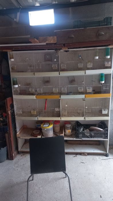 Vendo gaiola grande e barata por apenas 55€