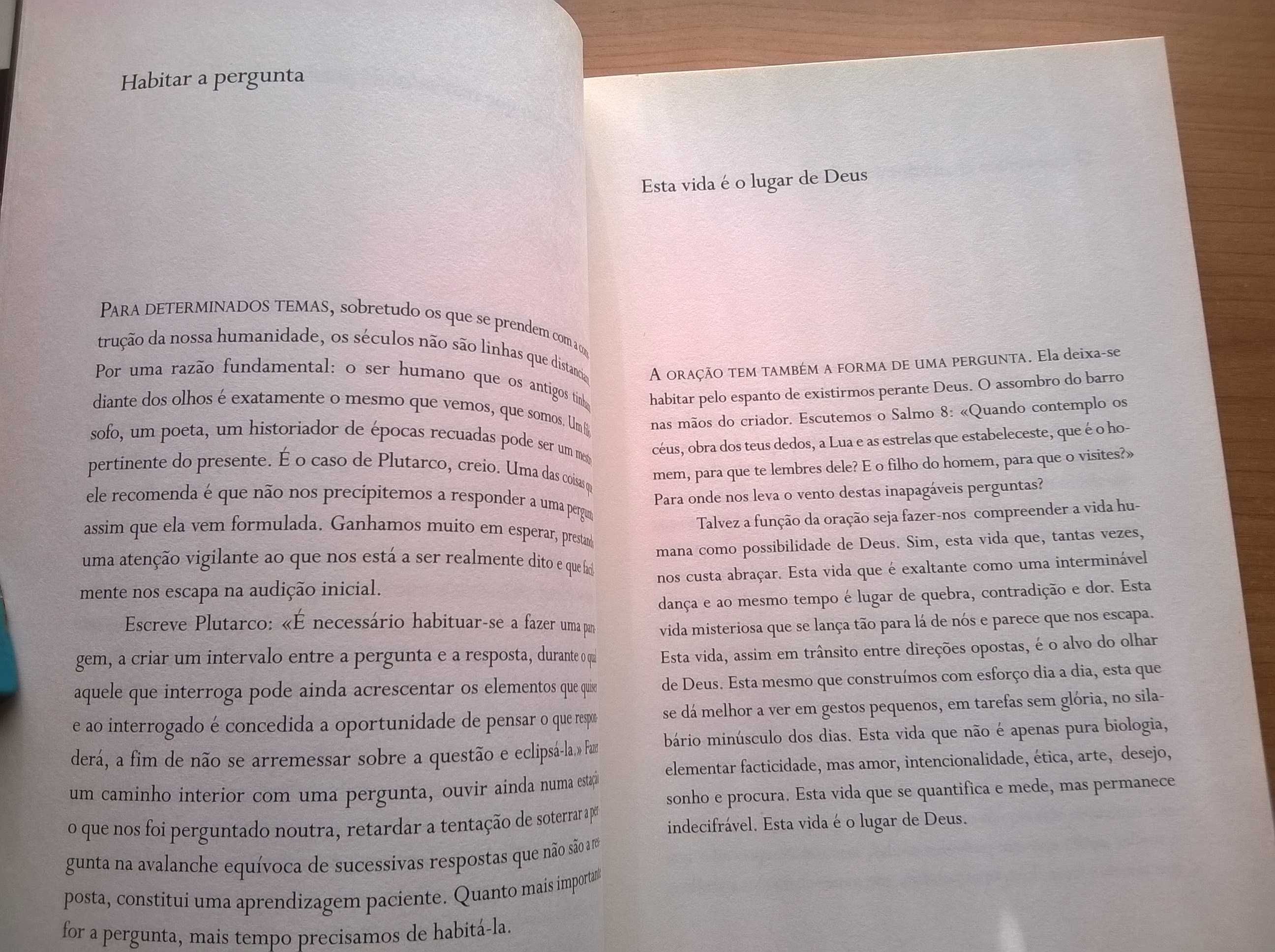 O Pequeno Caminho das Grandes Perguntas - José Tolentino Mendonça