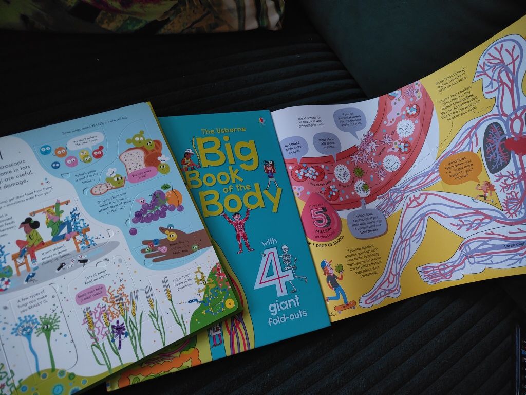 See inside germs, Big book of body usborne