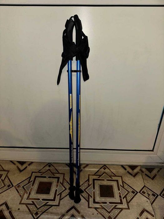 Продам палиці для скандианвської ходьби і чобітки для них