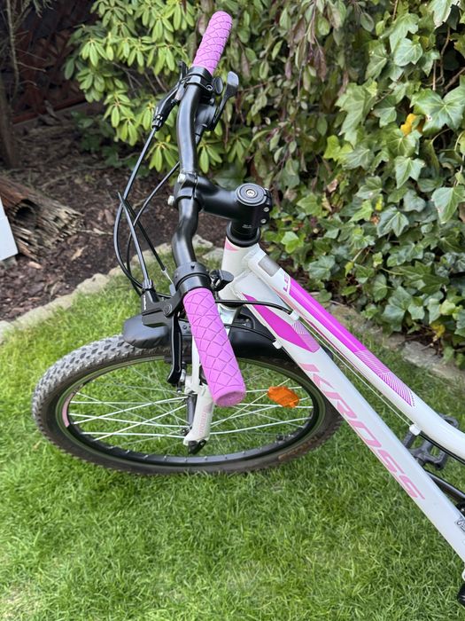 Rower Kross Lea 1.0 rama S kola 24’