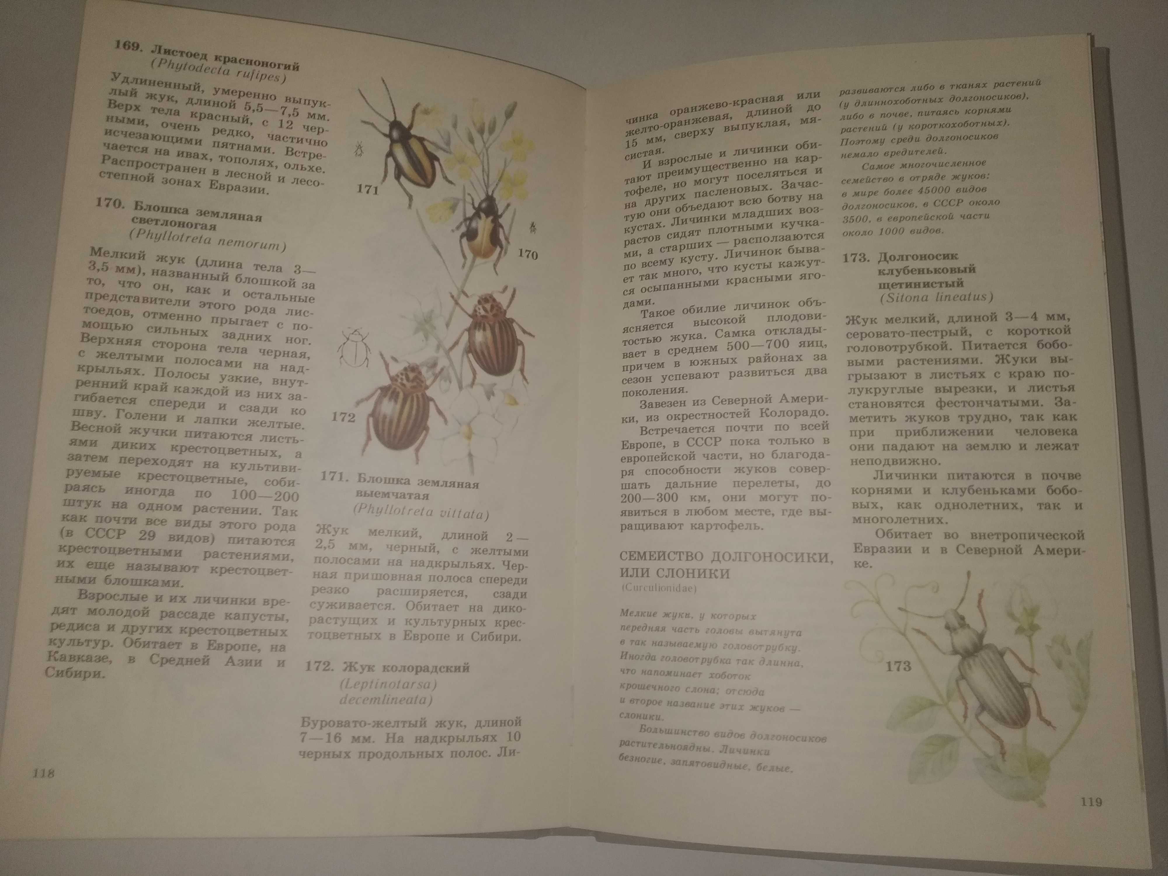 Школьный атлас-определитель беспозвоночных Бабочки атлас
