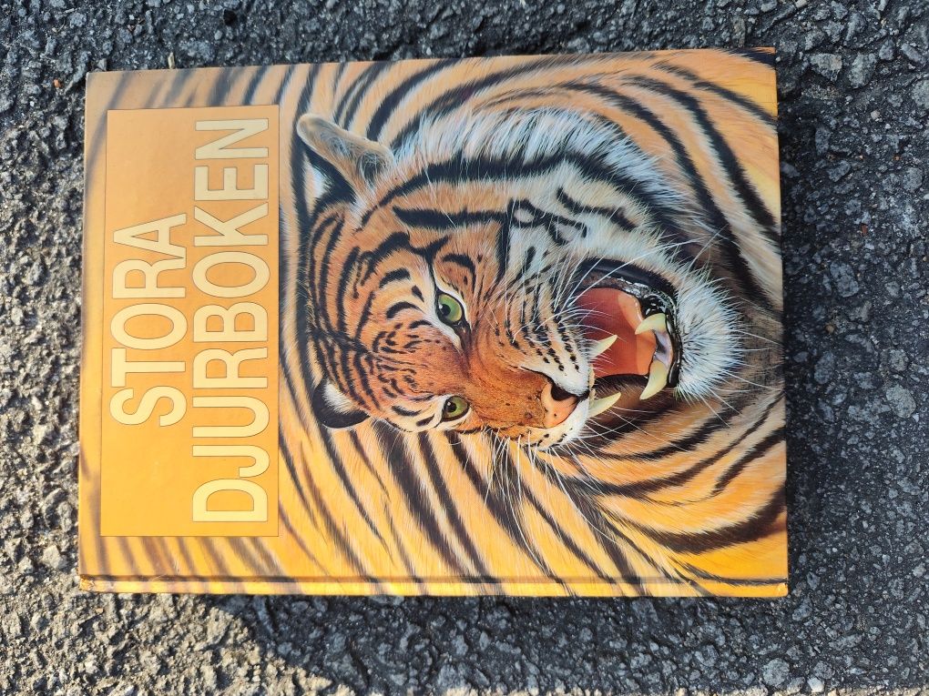 Livros banda desenhada