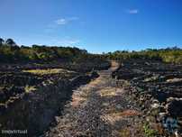 Terreno em Madalena de 20010,00 m2
