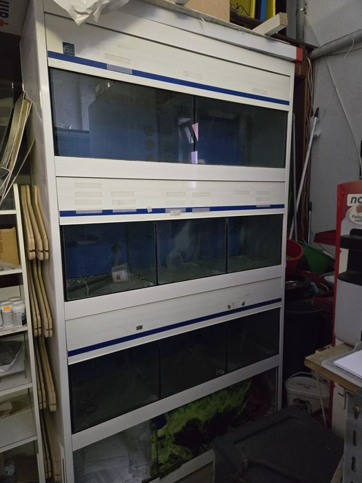 Estruturas boxes para animais