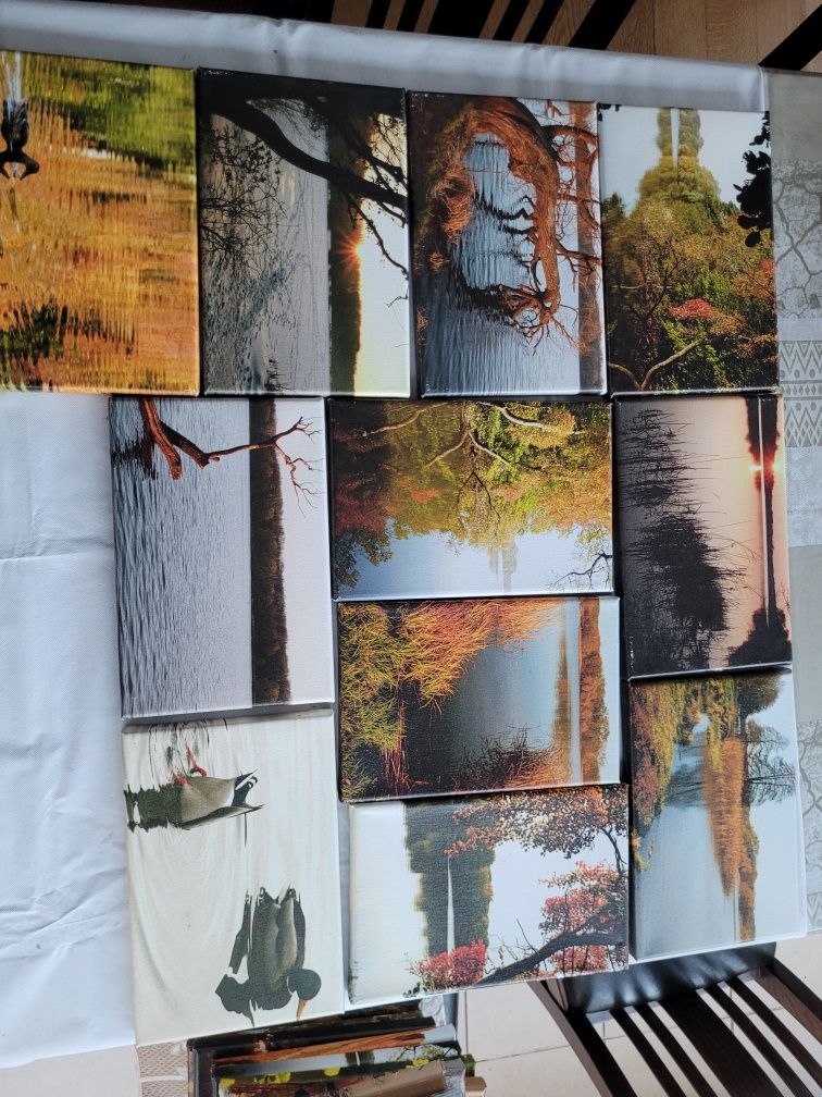Fotoobrazy 20x30 warianty jezioro Rusałka, blaterama 20x30