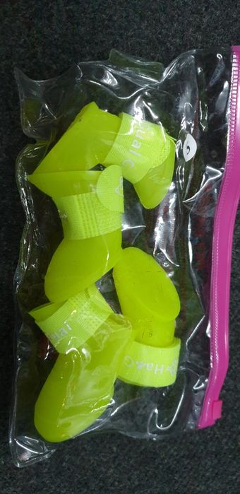 Ténis para cães pequenos