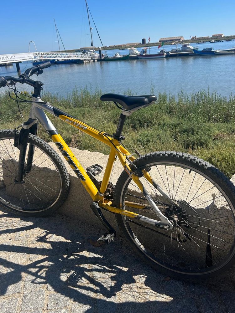 Lote bicicletas revisionadas