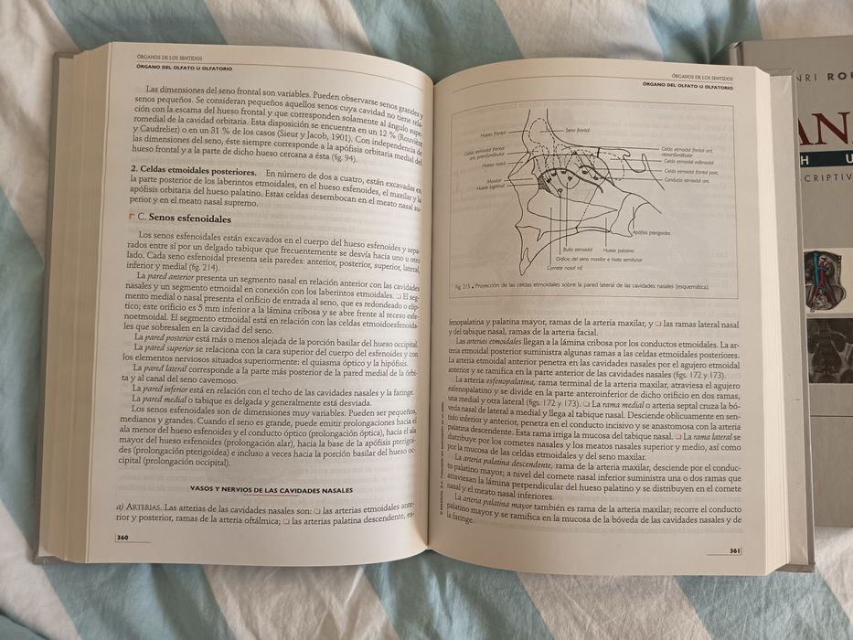 Anatomia Humana - Rouvière 11ª Ed - Espanhol