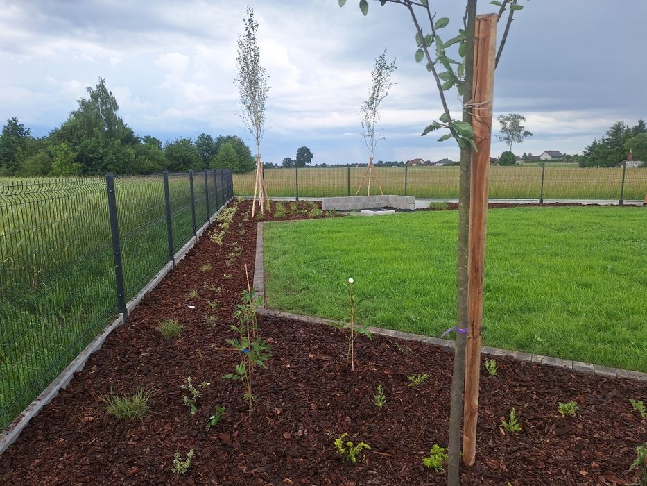 Ogrody/Wycinka Drzew/Sprzatanie Posesji /Projekty