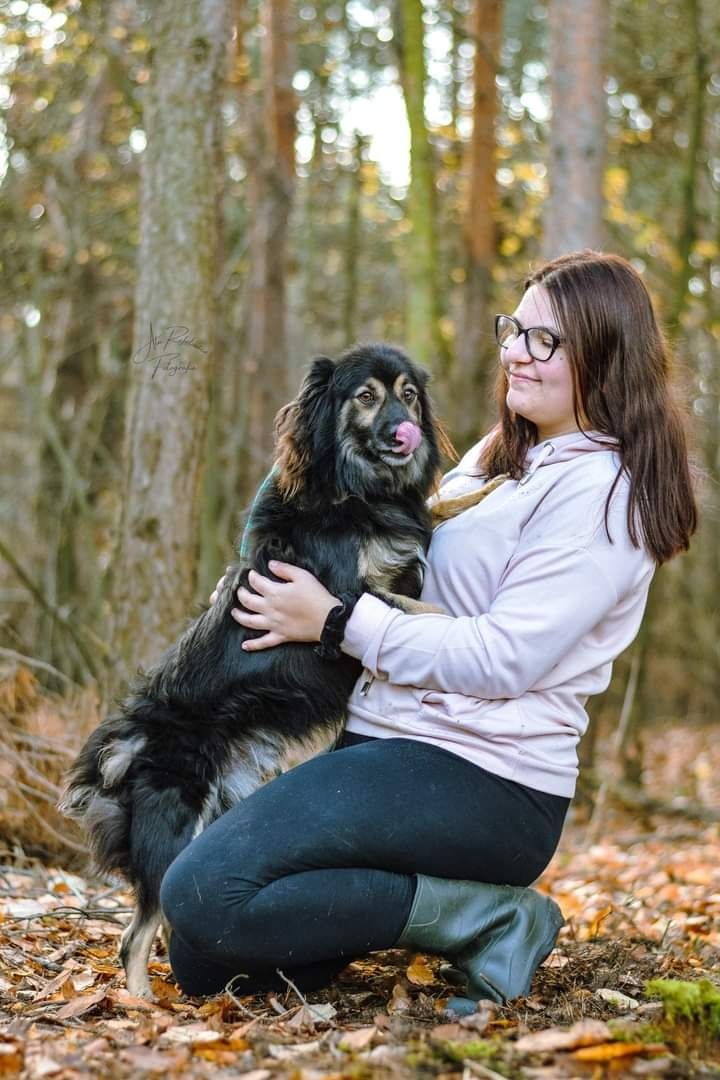 Został adoptowany jako szczeniak i oddany jakoś dorosły psiak...