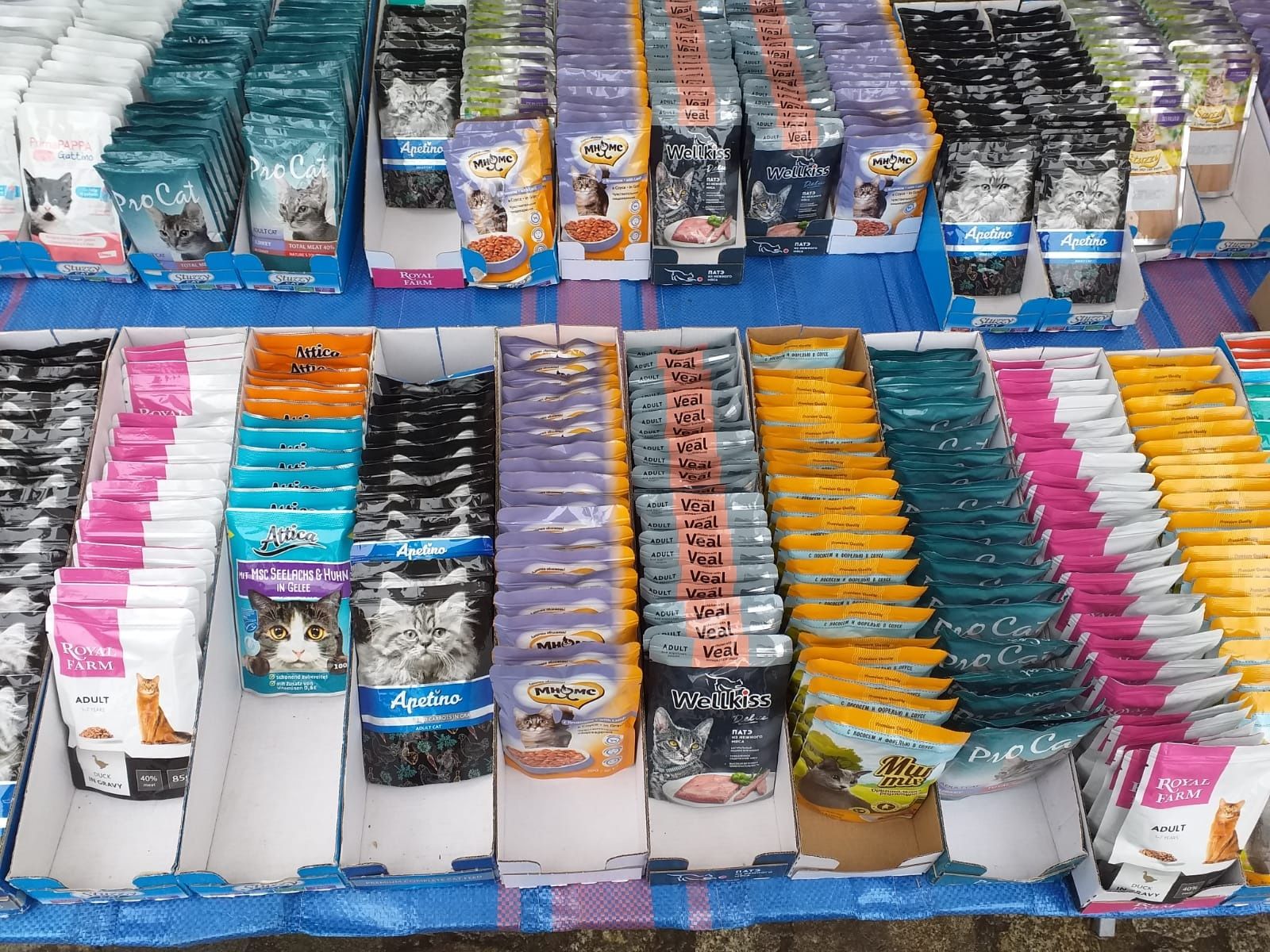 240sasztek dla kota w mixie marek I smaków