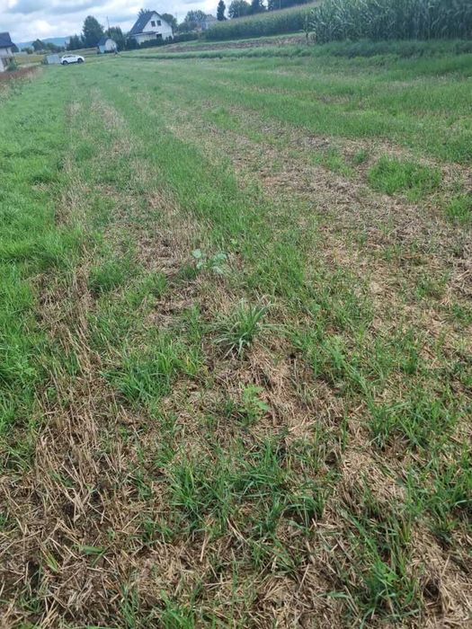 Działka budowlana 12 arów – Głowienka, ul. Polna – bez pośredników