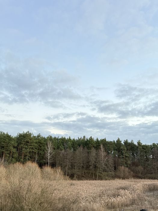 ‼️Дім, Якого Немає Аналогів. Ліс. Озеро. Ясногородка‼️