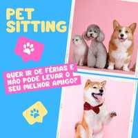 Pet Sitting (passeios, visitas, cuidadora de animais) - 5 €
