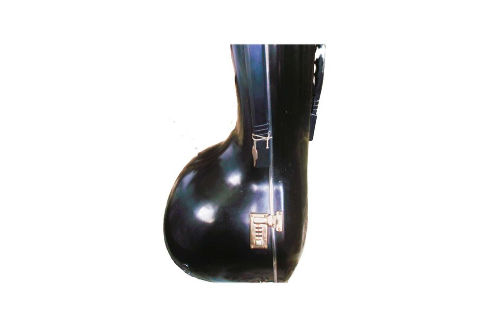 Sitar Ravi Shankar style, ful deco deluxe, de Monoj Kumar Sardar