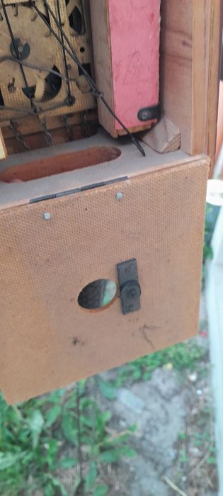 Zegar z kukułkom maiak