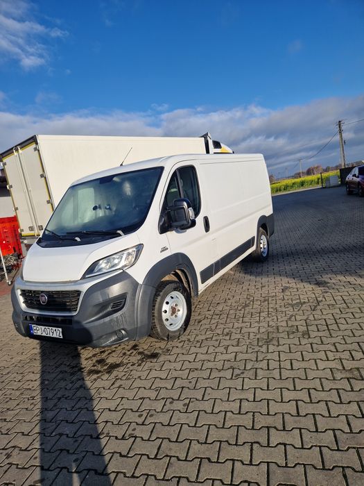 Fiat Ducato chlodnia
