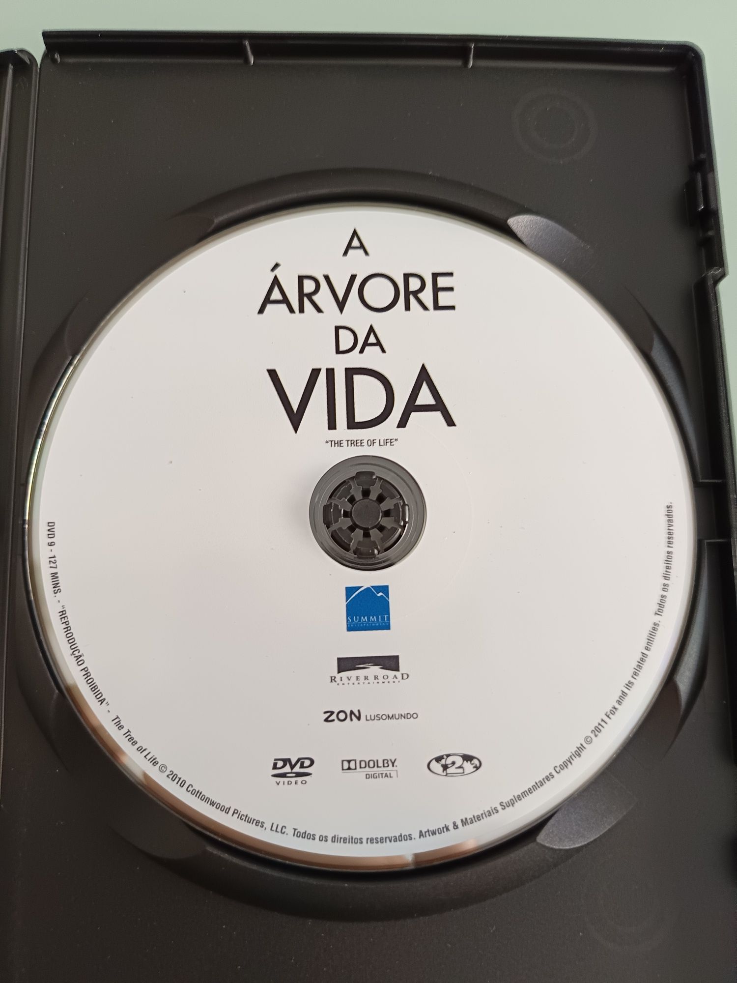DVD a arvore da vida