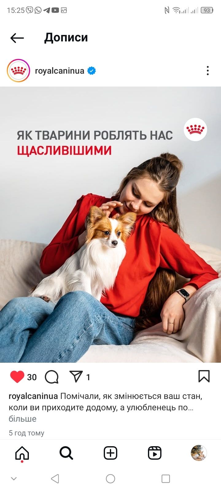 Папійон чемпіон зірка реклами