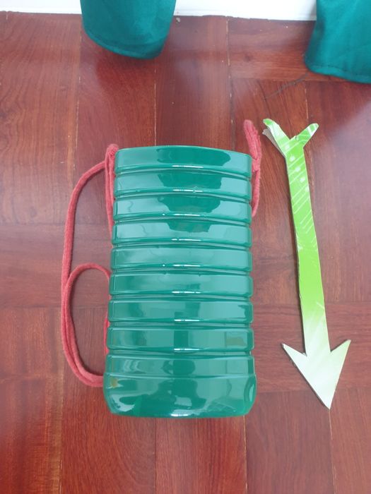 Robin dos Bosques 5-6 anos